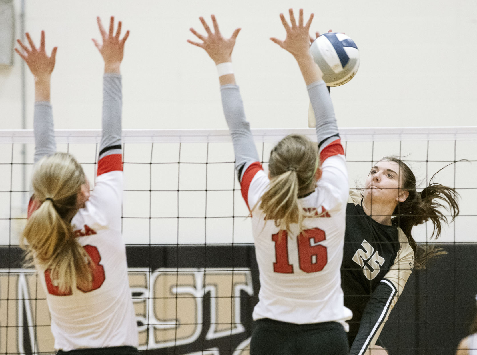 103119_northwestauroravball_zlm002.JPG
